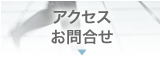 �A�N�Z�X�^���⍇��